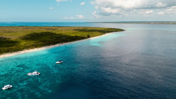 Vista aérea de la playa de Isla Catalina con un catamarán navegando en sus aguas turquesas.