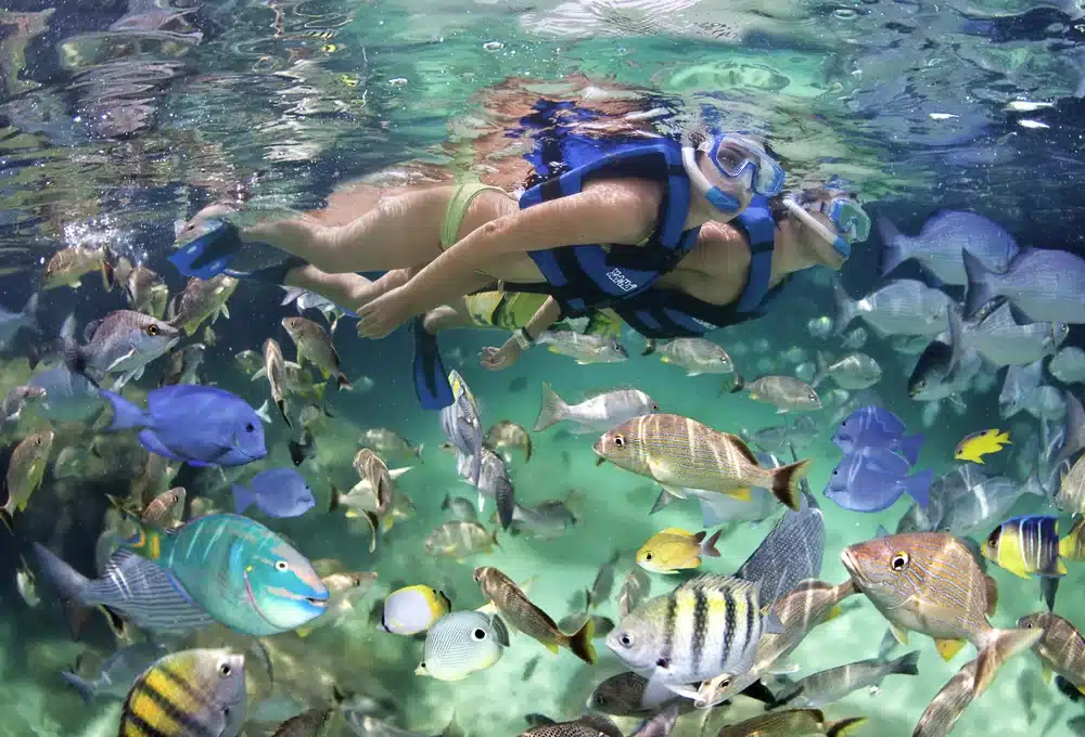 Snorkeling